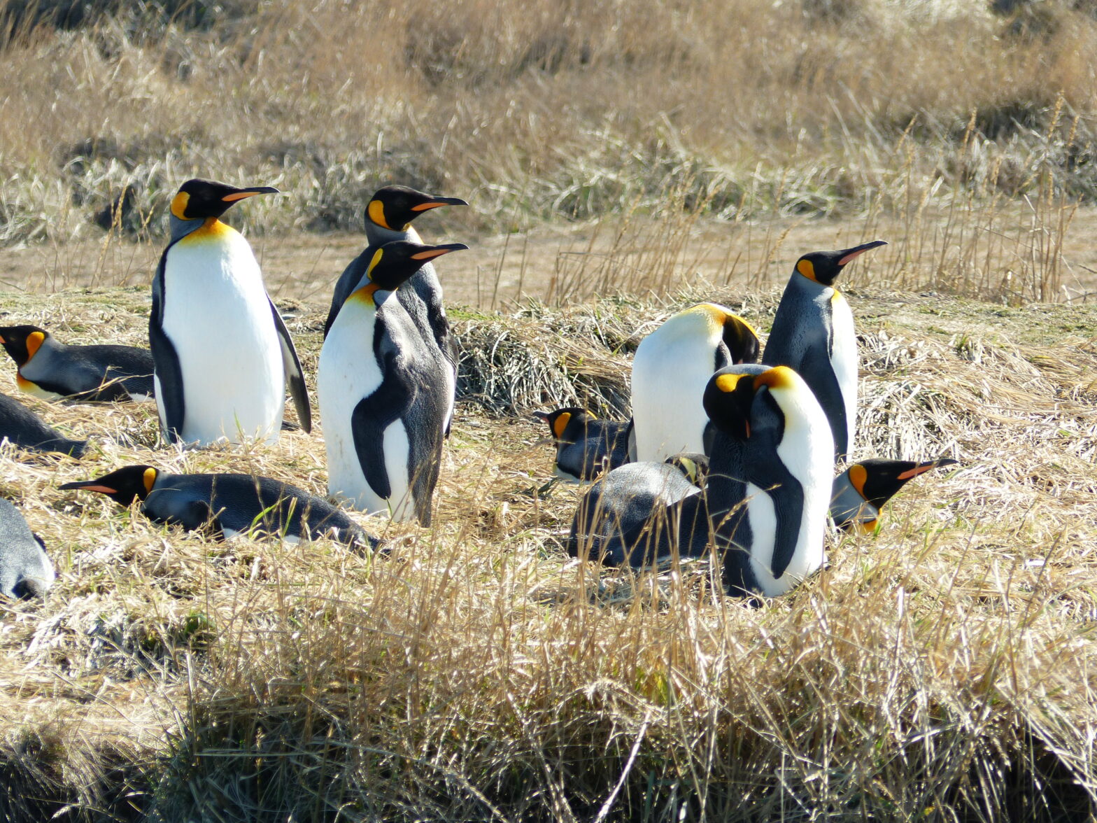 Patagonia and Tierra del Fuego